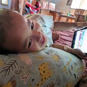Luật