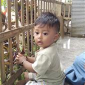 Rou