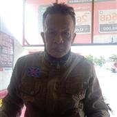 Trực