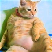Kẻ 
