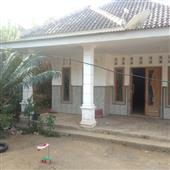 Bầu