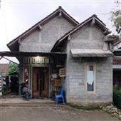 Đánh