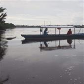 Gấu 
