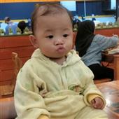 Giả