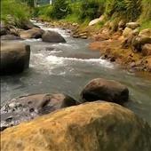Thần