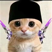 Anh 