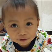 Luật