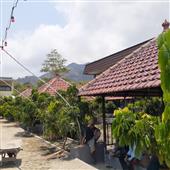 Khuy