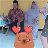 Ứng 