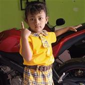Vật 
