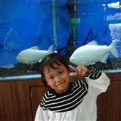 Kỳ 