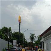 Tài