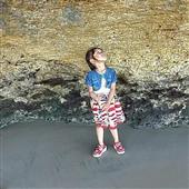 Cung