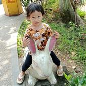 Bản
