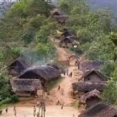 Vua 