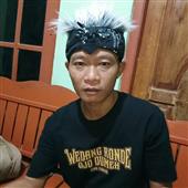Vệ t