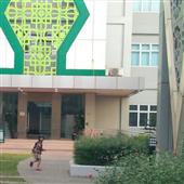 Rồn