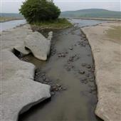 Săn