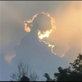 Mèo 