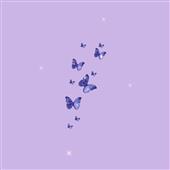 Bầu