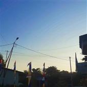 Bí 