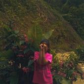 Luật