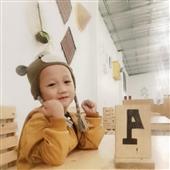 Giả