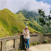 Bản