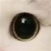 Vươn