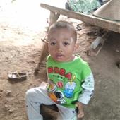 Nghi