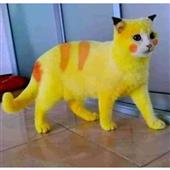 Giả