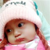 bầu