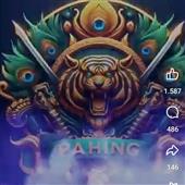 Trực