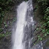 Nhậ