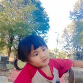 Trực