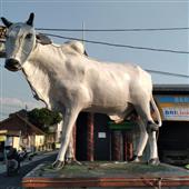 Chơi