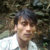 Triề
