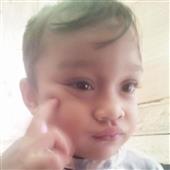 Meo