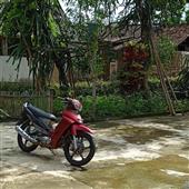 Vụ đ