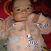 Quả