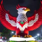Lươn
