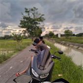 Cược