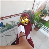 Lưới