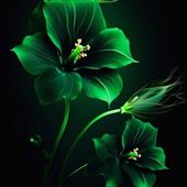Thứ