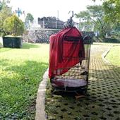 Luật