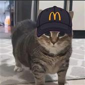 Ruj