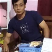 Sự T