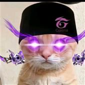 Hy L