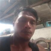 Sự T