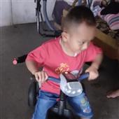 Các